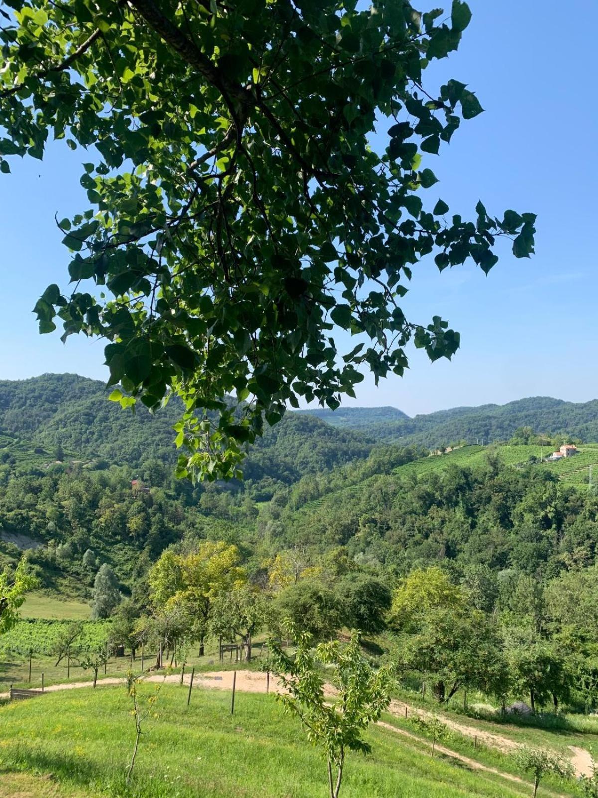 Agriturismo Le Noci Tarzo Esterno foto